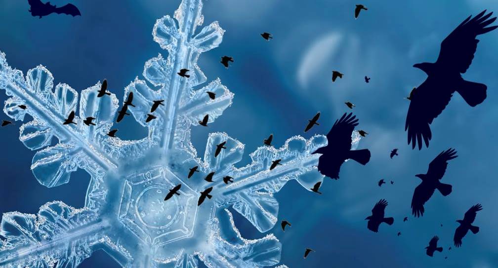 Fot. materiały organizatorów - grafika artykułu