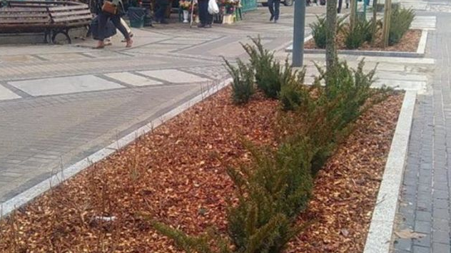 fot. Rada Osiedla Stare Miasto