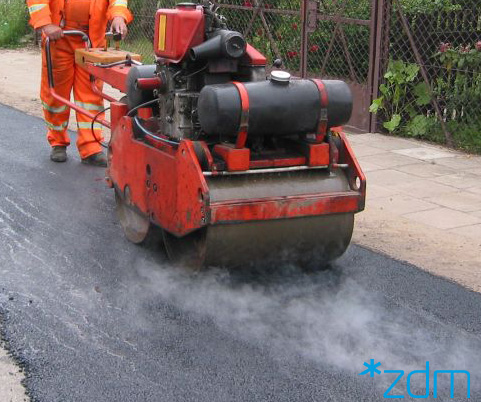 fot. ZDM - grafika artykułu