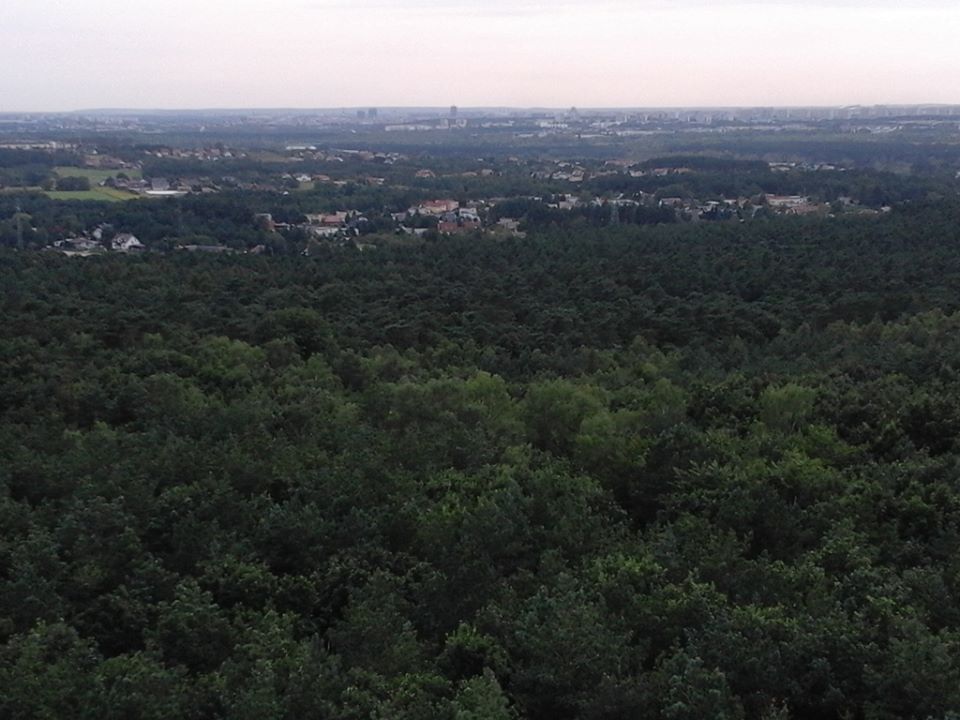 Fot. Mateusz Malinowski - grafika artykułu