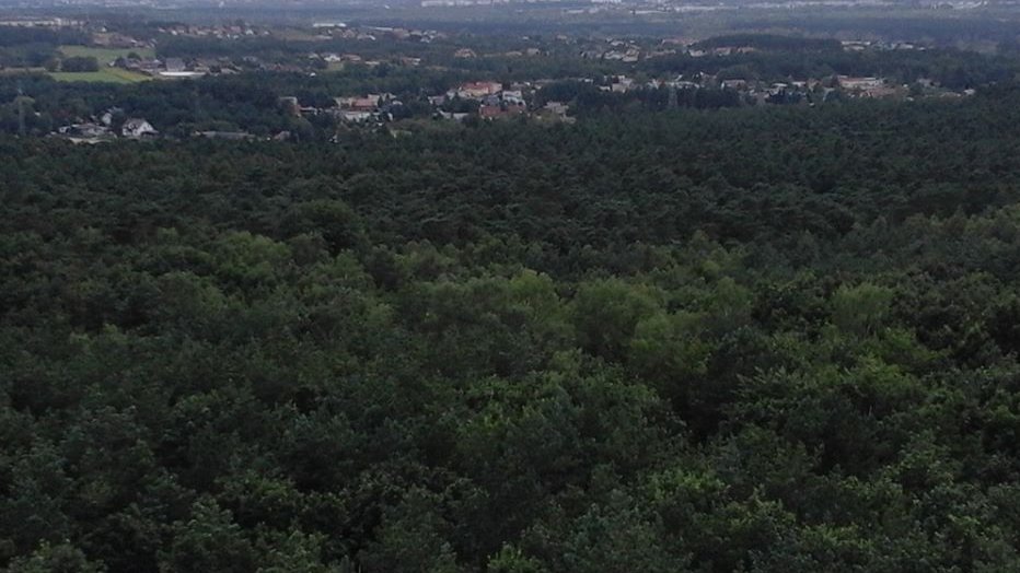 Fot. Mateusz Malinowski