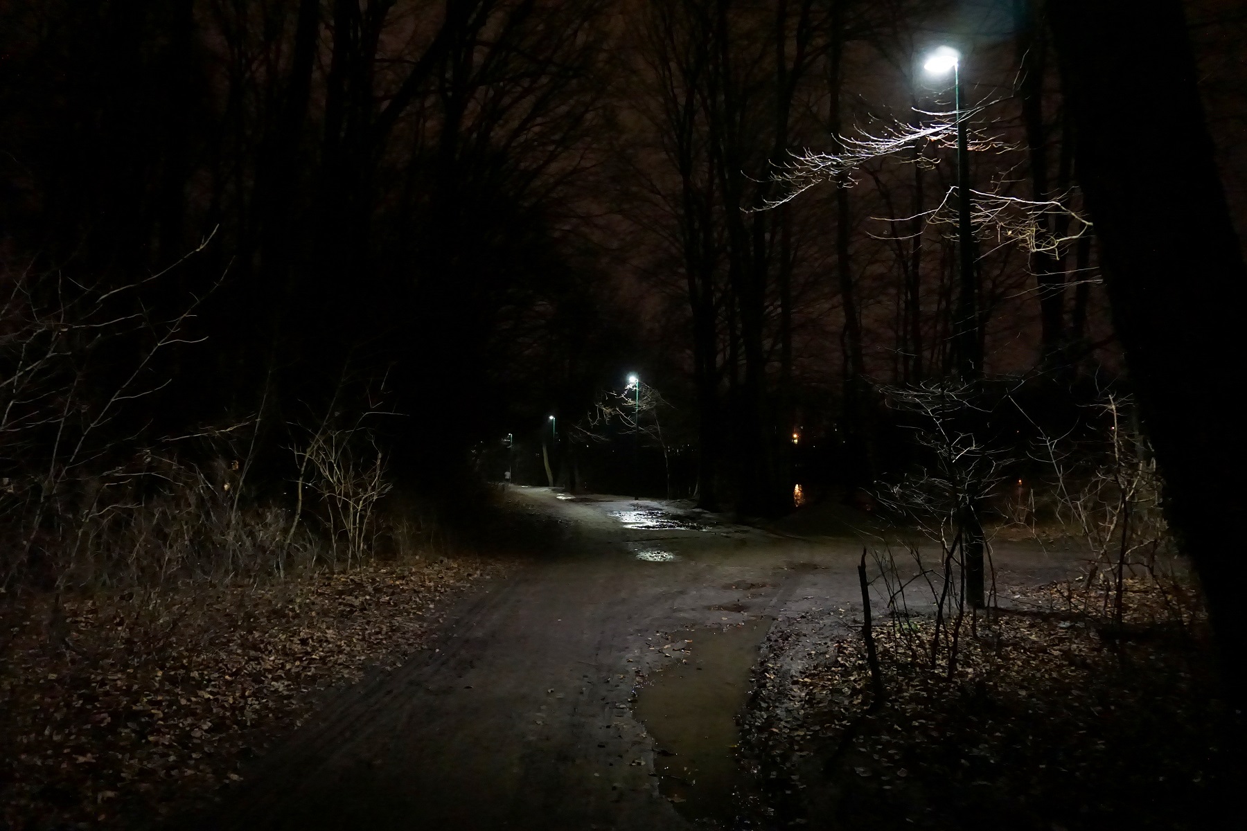 fot. Poznan.pl - grafika artykułu