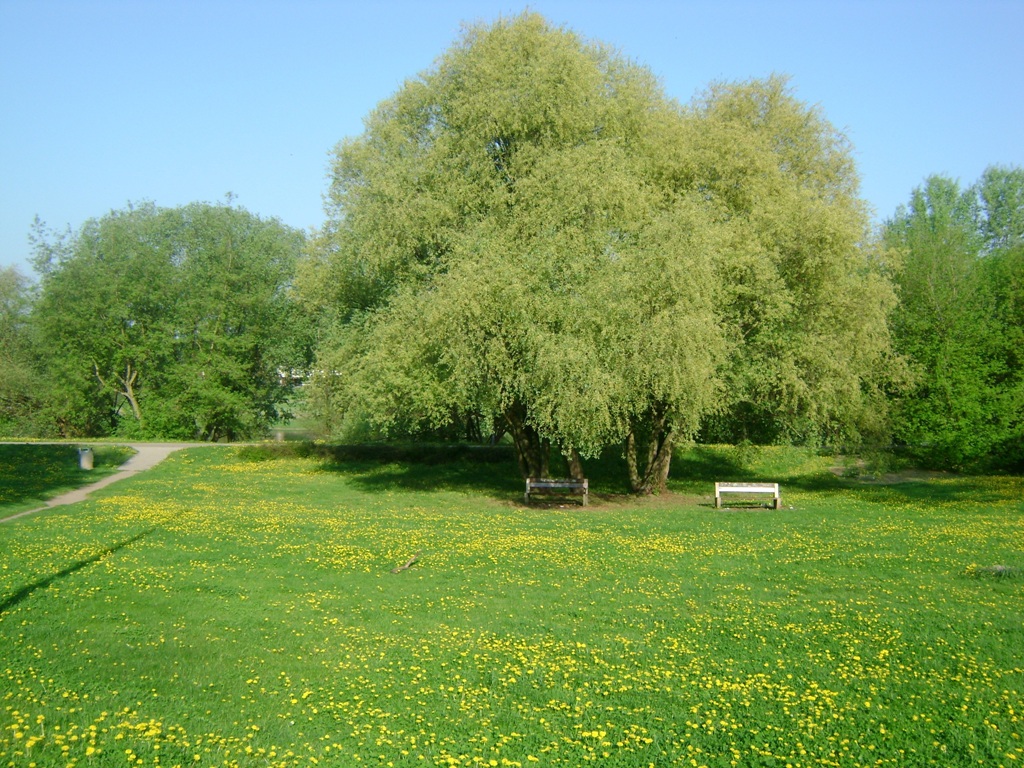 Fot. Mateusz Malinowski - grafika artykułu