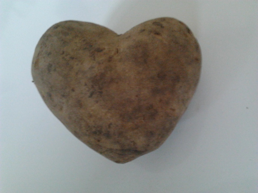 Fot. materiały organizatorów - grafika artykułu