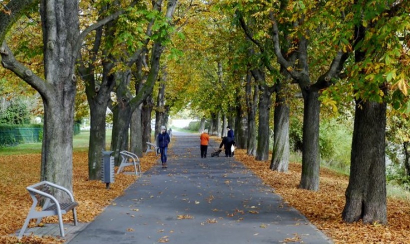 Fot. materiały organizatorów - grafika artykułu