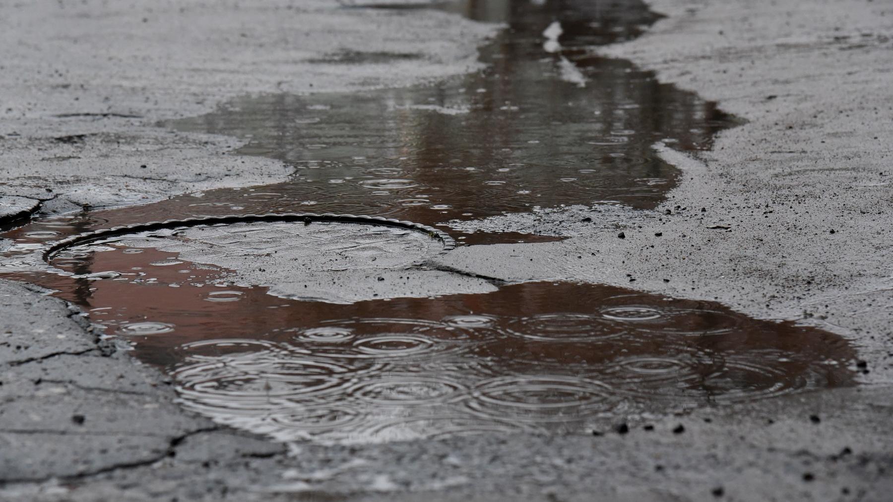 fot. Poznan.pl - grafika artykułu