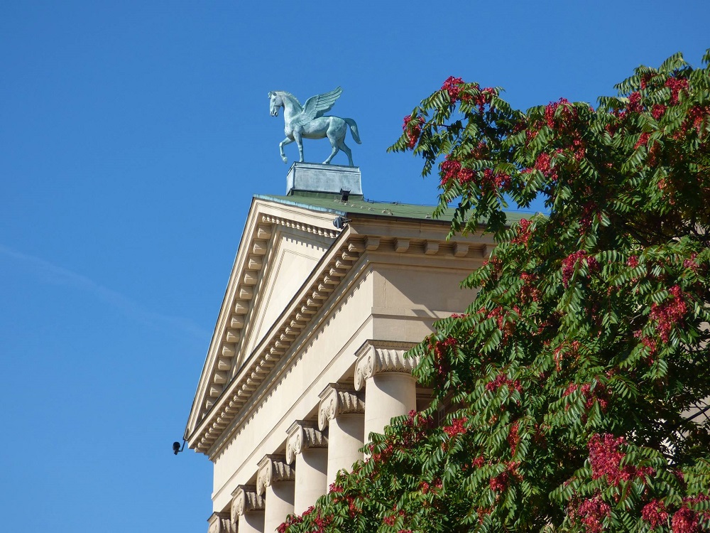 Fot. z archiwum PoPoznaniu.pl - grafika artykułu