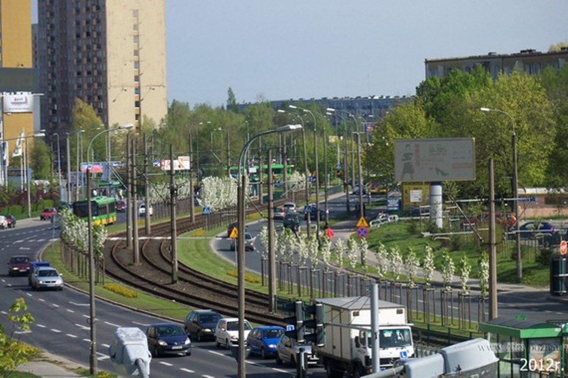 fot. ZDM - grafika artykułu