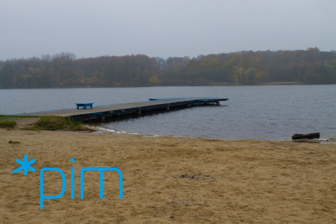 fot. PIM - grafika artykułu