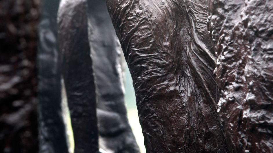 Fot. Piotr Skórnicki - grafika artykułu