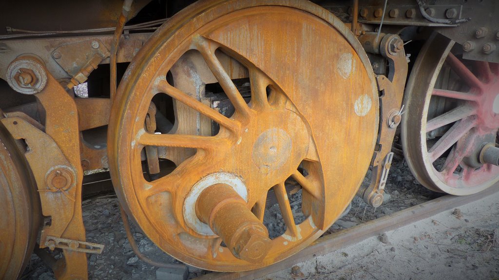 Fot. Jagoda Haloszka - grafika artykułu