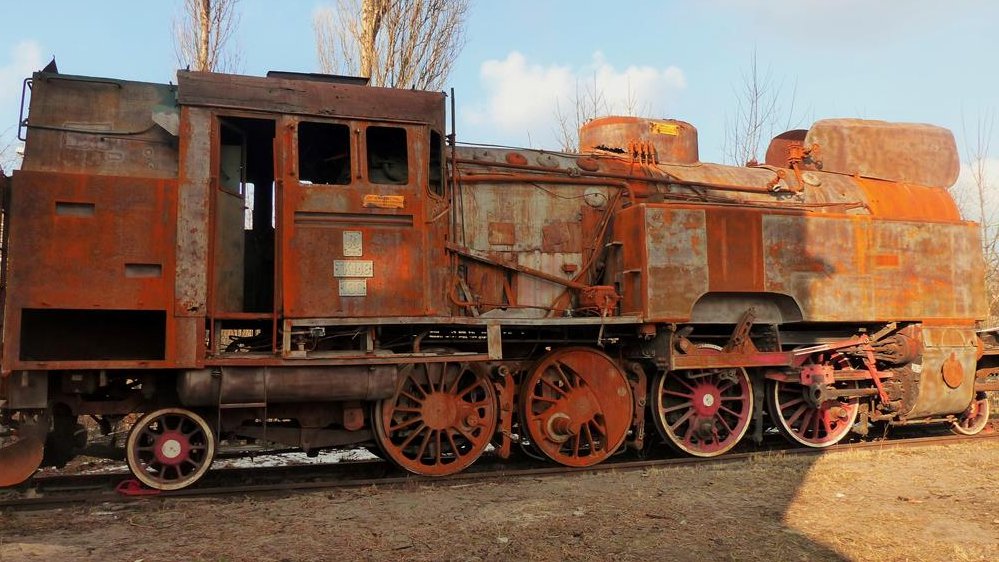 Fot. Jagoda Haloszka