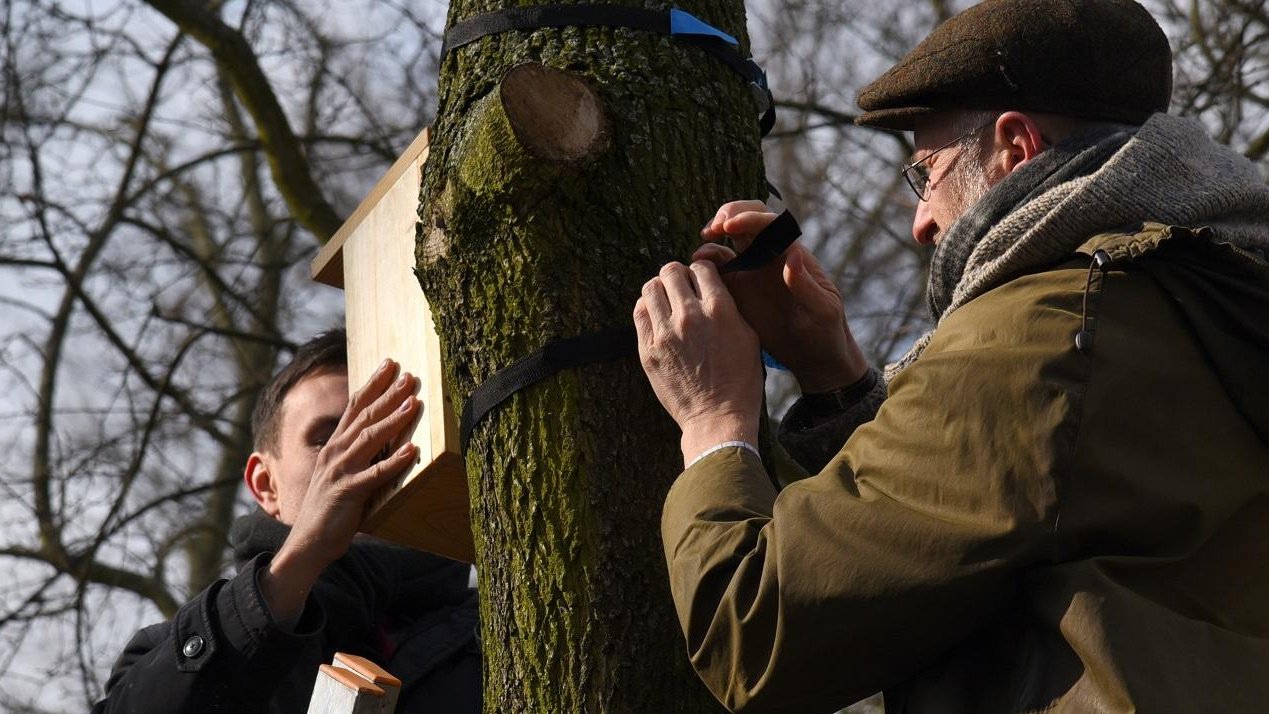 Pierwszą budkę lęgową zawiesili: Tomasz Lewandowski, zastępca prezydenta Poznania i prof. Piotr Tryjanowski z Uniwersytetu Przyrodniczego