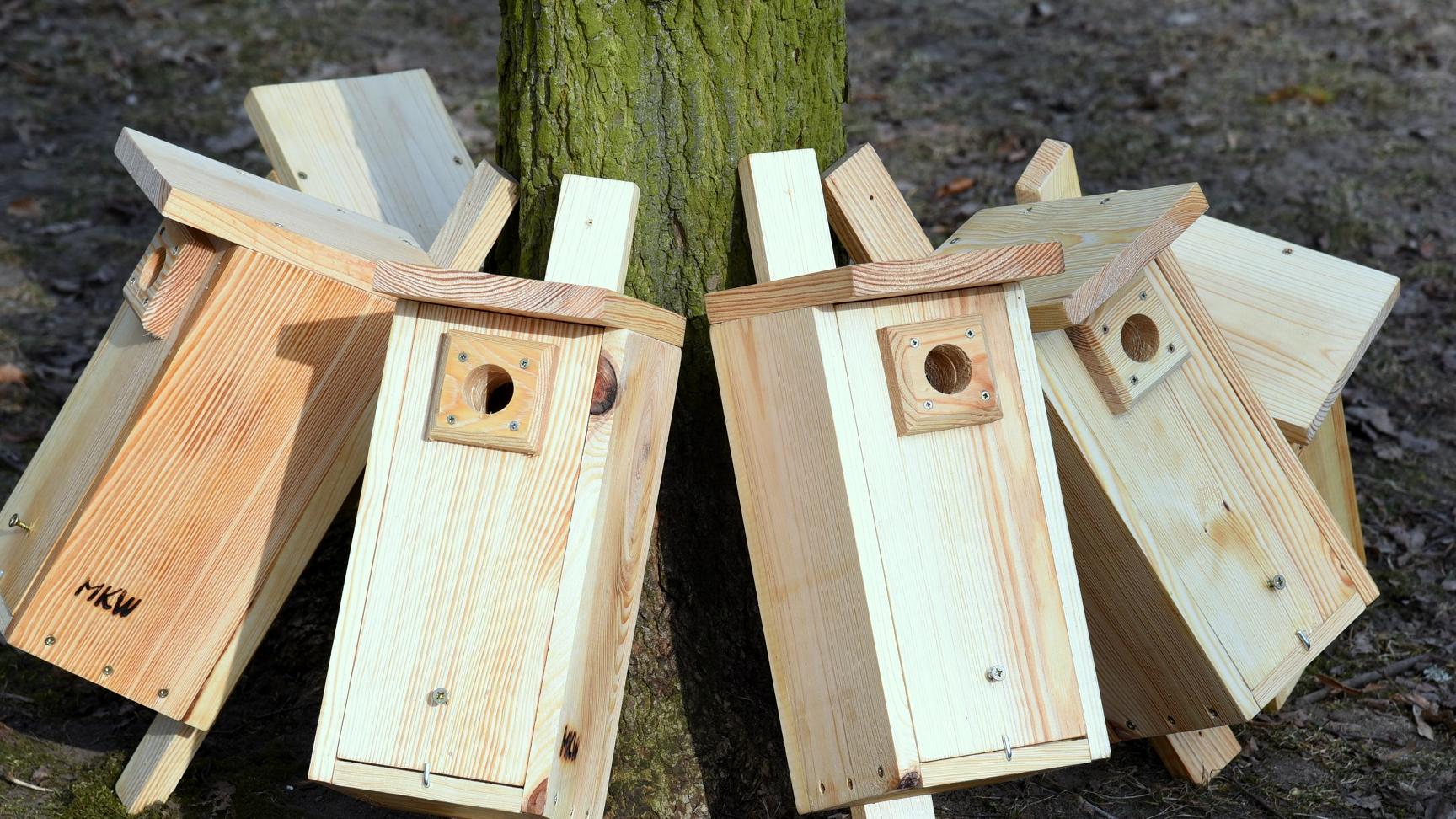 fot. Urząd Miasta Poznania - grafika artykułu