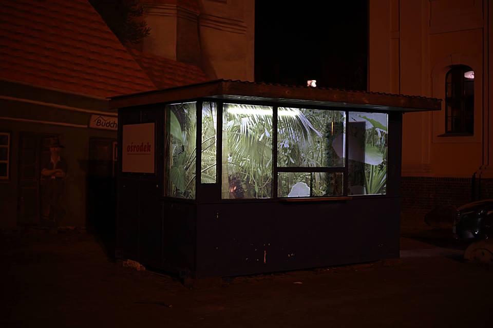 fot. Ośrodek - grafika artykułu