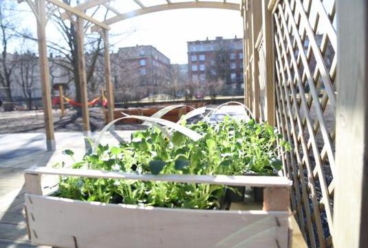 Ogród Otwarty na Wildzie, fot. Urząd Miasta Poznania - grafika artykułu