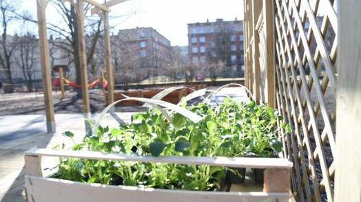 Ogród Otwarty na Wildzie, fot. Urząd Miasta Poznania