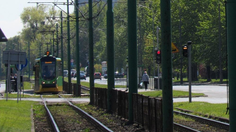 fot. ZDM - grafika artykułu