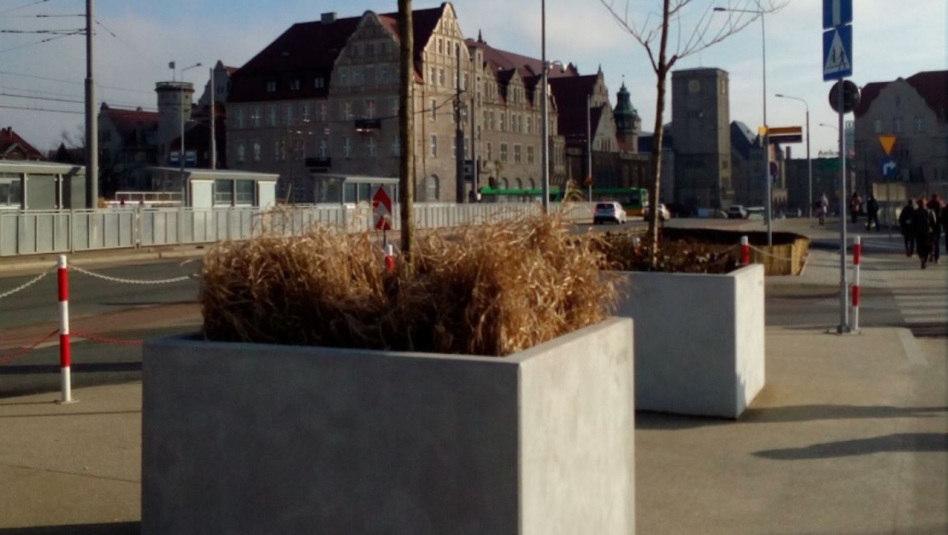 fot. ZDM - grafika artykułu