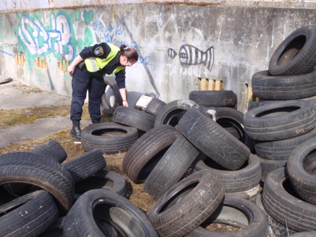 fot. Straż Miejska Miasta Poznania - grafika artykułu