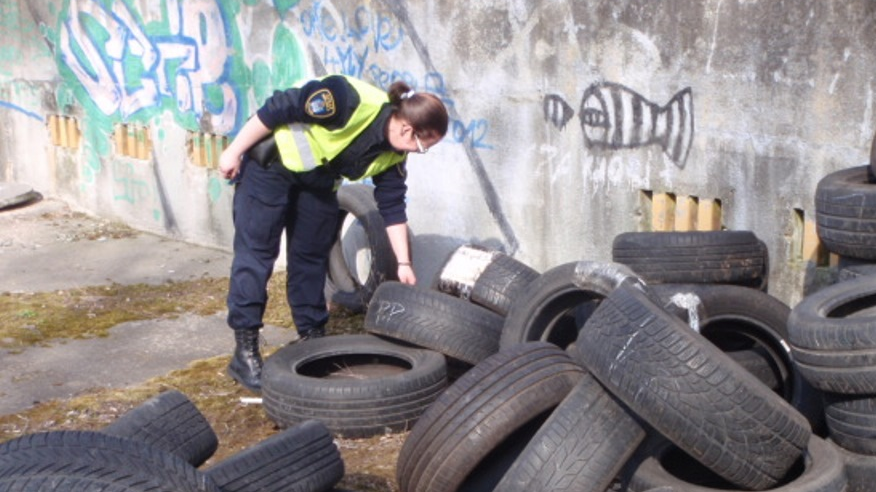 fot. Straż Miejska Miasta Poznania