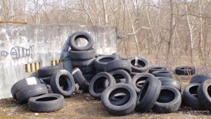 fot. Straż Miejska Miasta Poznania