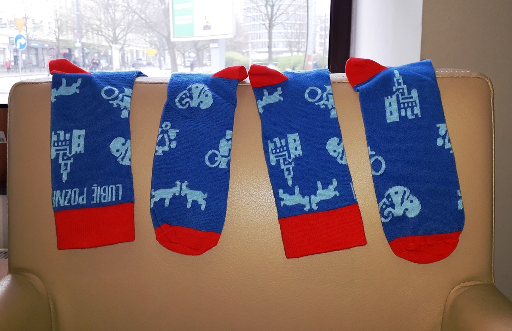 Fot. M. Malinowski - grafika artykułu