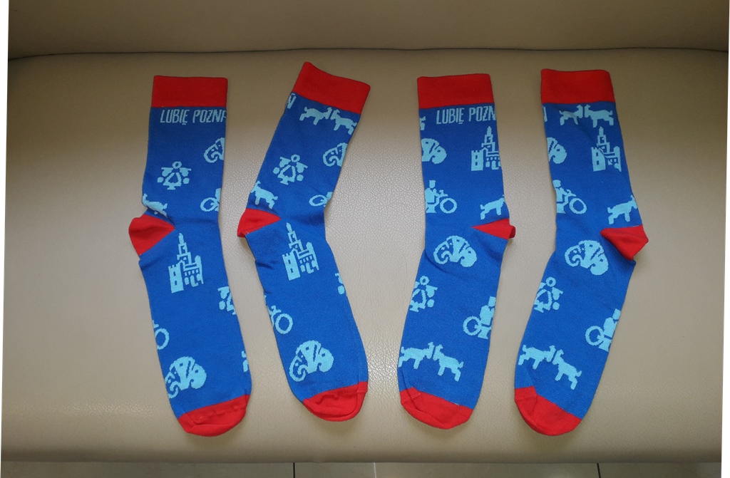 Fot. M. Malinowski - grafika artykułu