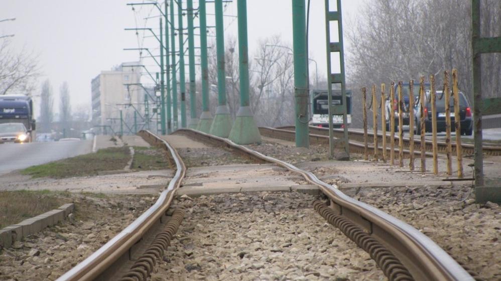 fot. Urząd Miasta Poznania - grafika artykułu