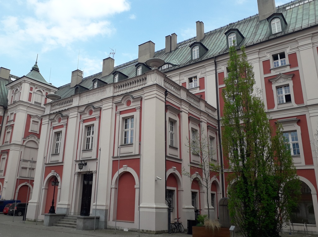 Fot. Mateusz Malinowski - grafika artykułu