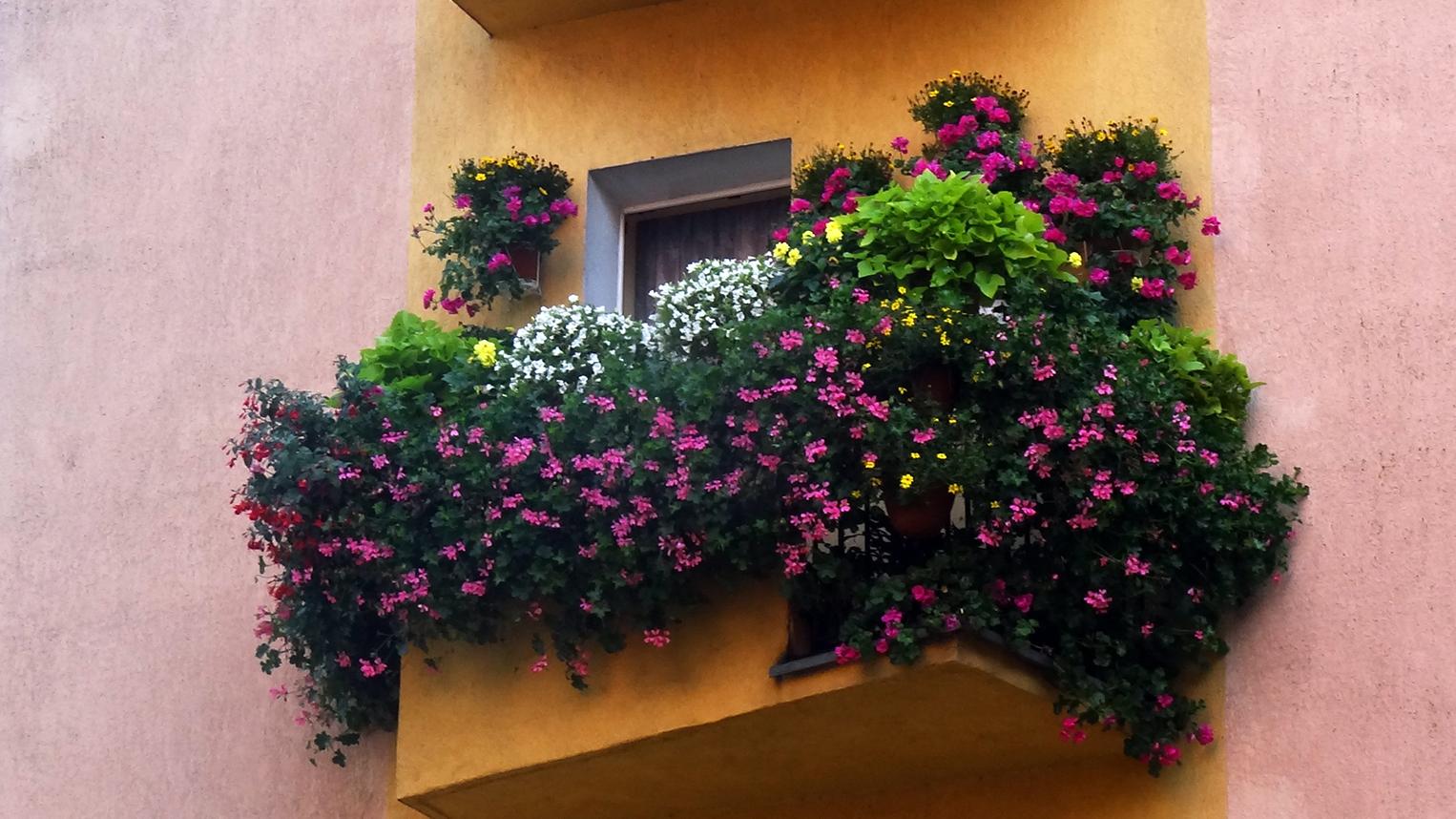 fot. Poznan.pl - grafika artykułu