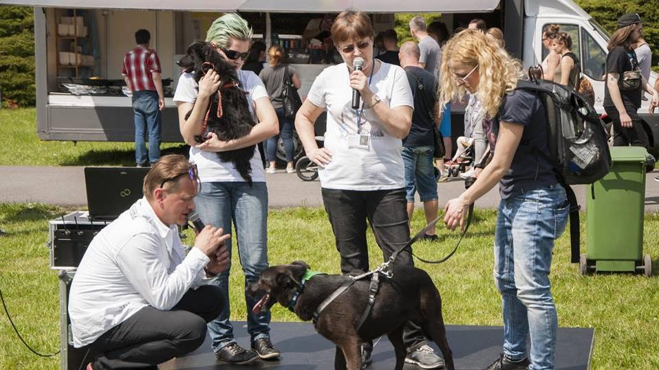 fot. Poznan.pl - grafika artykułu