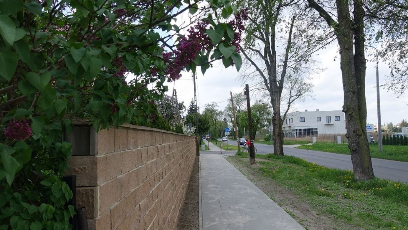 fot. ZDM - grafika artykułu