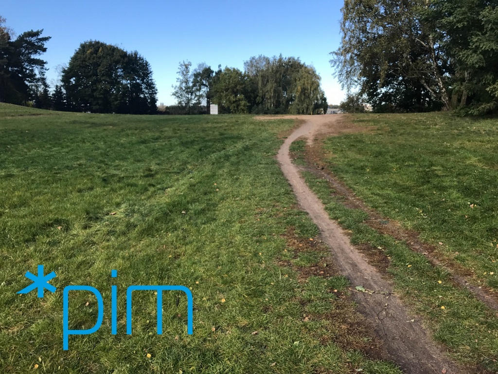 fot. PIM - grafika artykułu