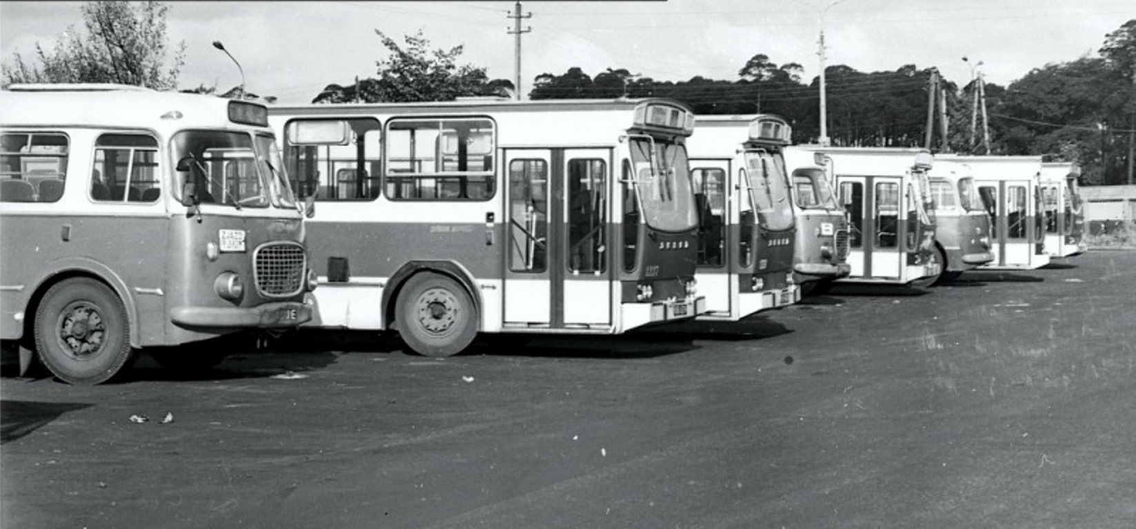 fot. MPK Poznań - grafika artykułu