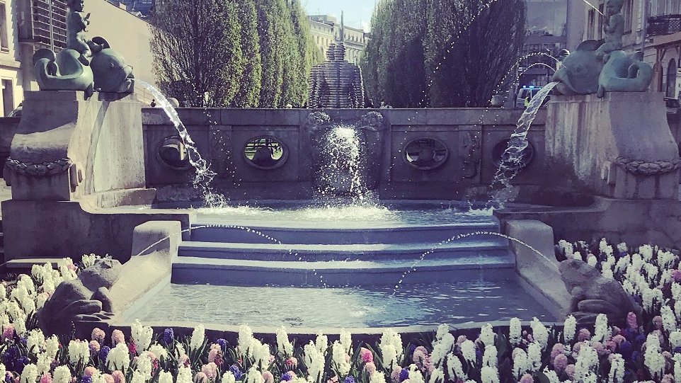 I miejsce - Marta Syniec