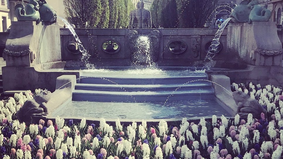 I miejsce - Marta Syniec