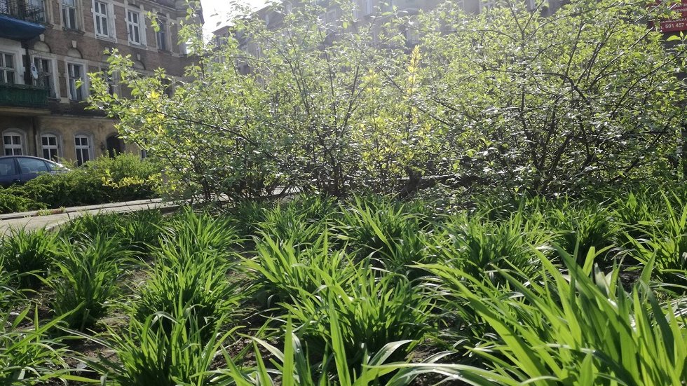 III miejsce - Roman Modrzyński