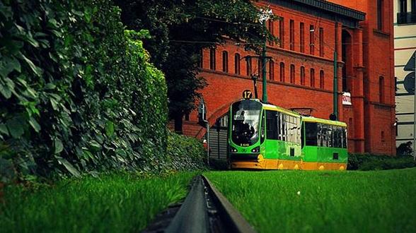 Fot. Urząd Miasta Poznania - grafika artykułu