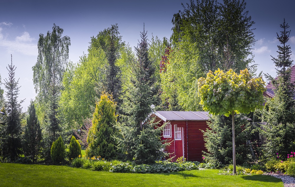 Fot. materiały organizatorów - grafika artykułu