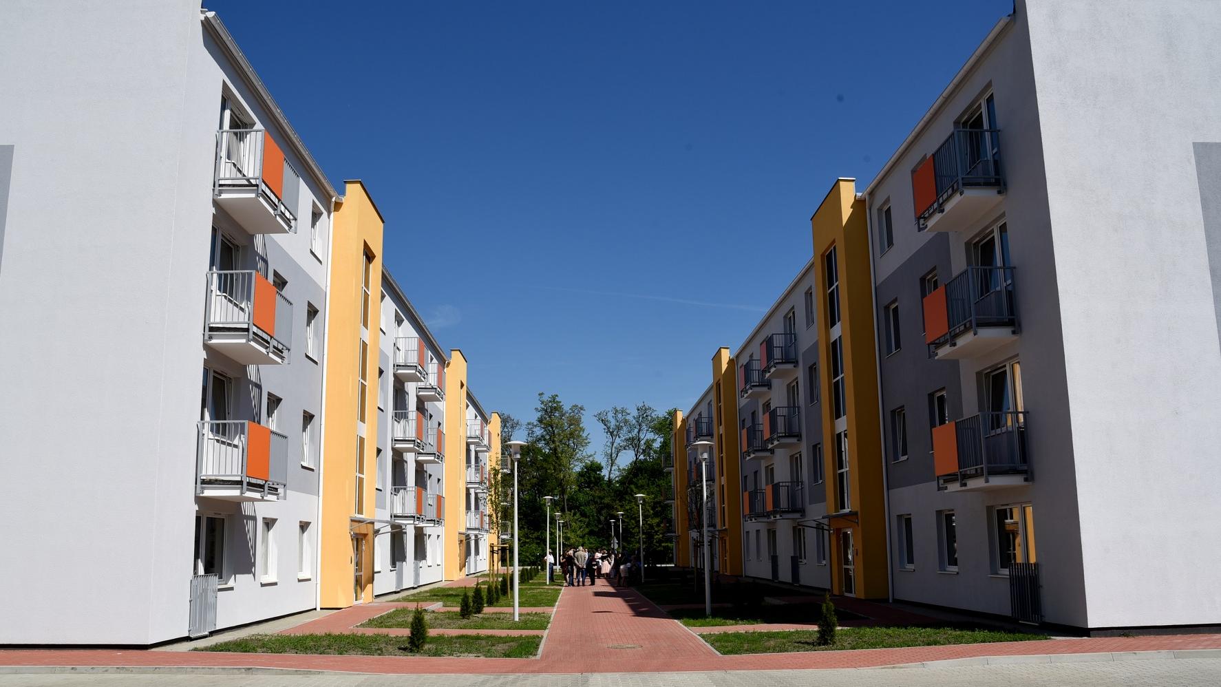 fot. Poznan.pl - grafika artykułu