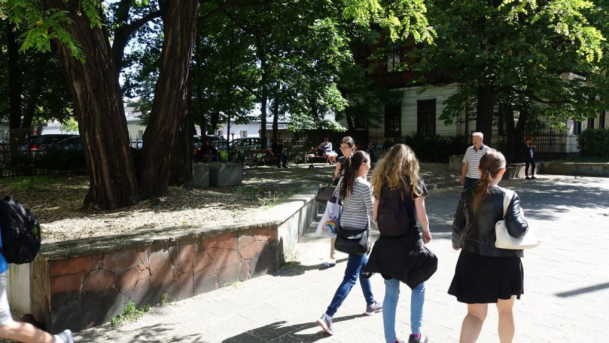 Fot. ZDM Poznań - grafika artykułu