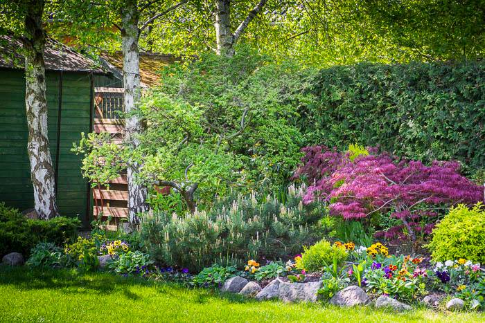 Fot. materiały organizatorów - grafika artykułu