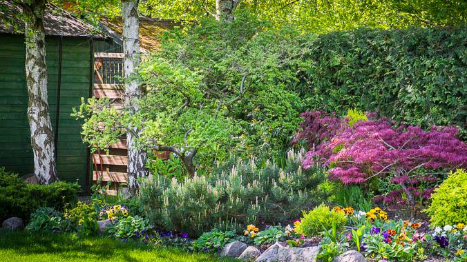 Fot. materiały organizatorów