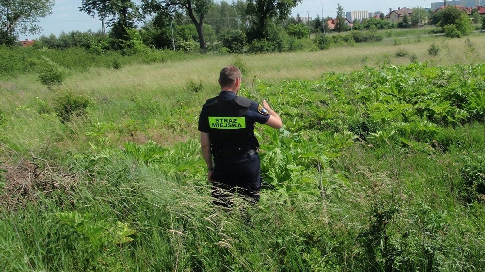 Fot. archiwum UMP - grafika artykułu