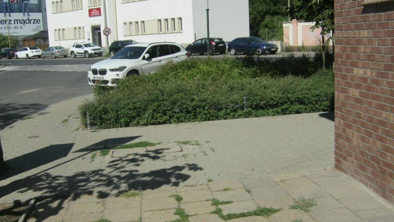 fot. ZKZL - grafika artykułu