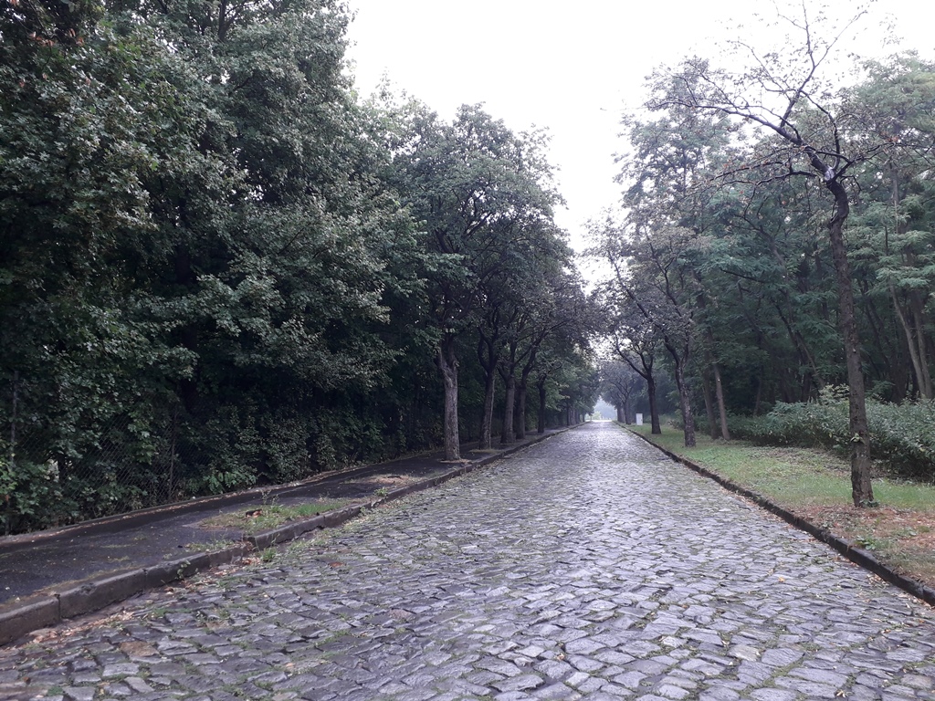 Ulica Henryka Jordana, Fot. M. Malinowski, © Wydawnictwo Miejskie Posnania - grafika artykułu