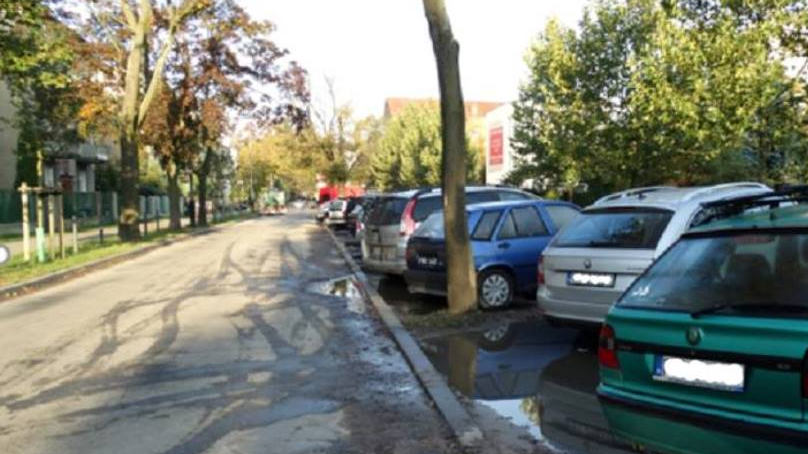 Tak wyglądała sytuacja przed nasadzeniam fot. ZDM