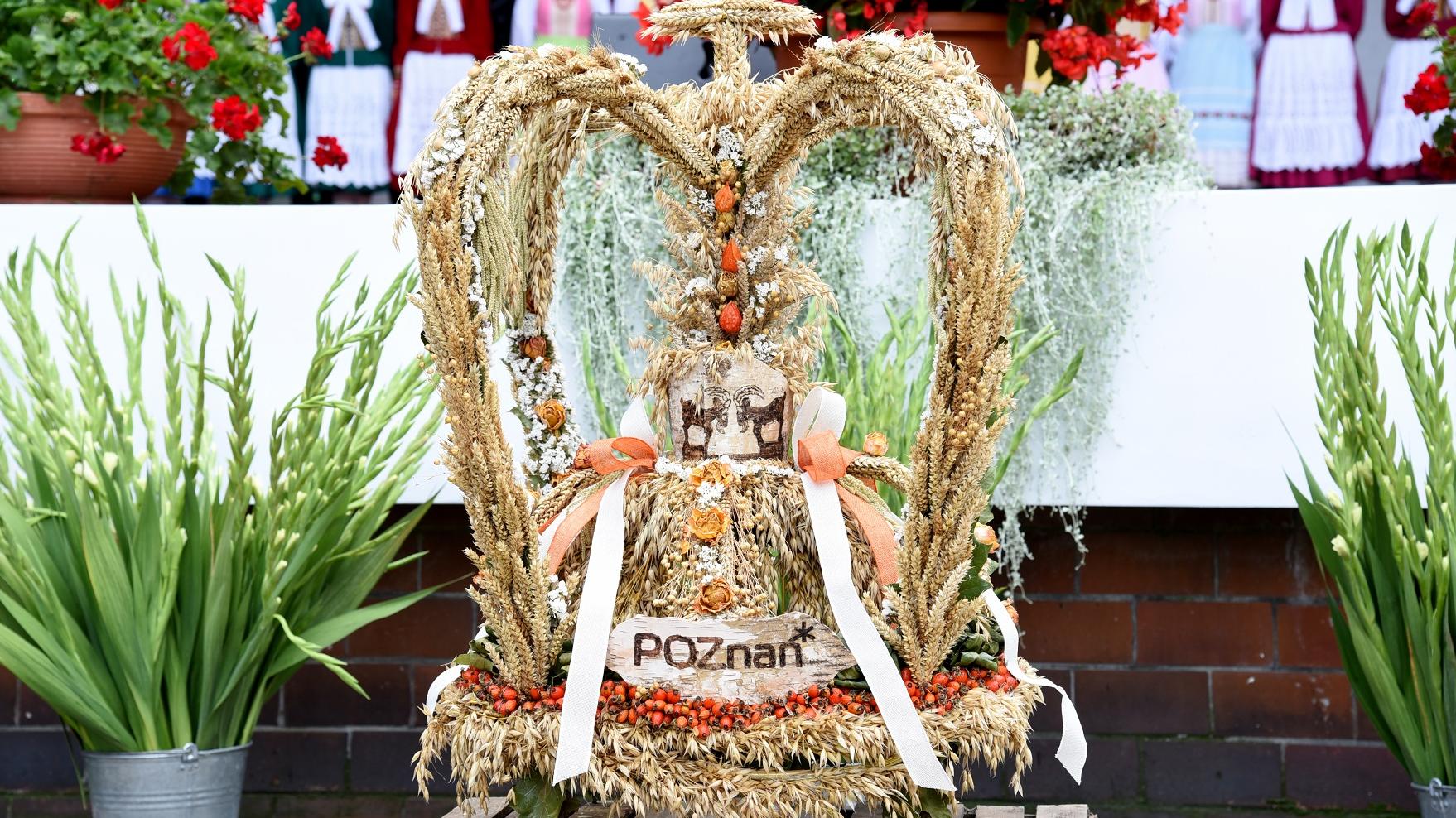 fot. Poznan.pl - grafika artykułu