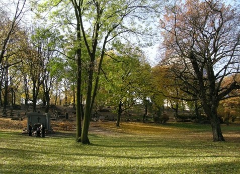 Fot. Urząd Miasta Poznania - grafika artykułu